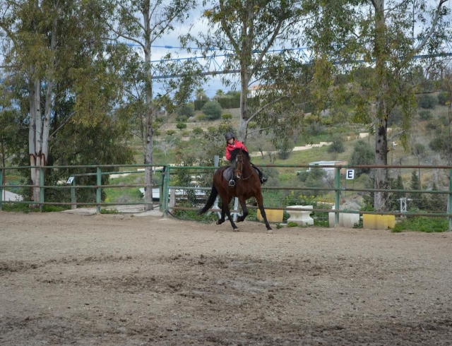 Cambio de direccion con el caballo
